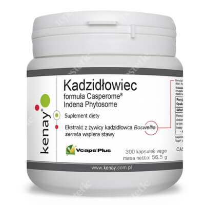 Kenay Kadzidłowiec Casperome Suplement diety 300 kapsułek