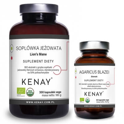 Kenay Wsparcie w Profilaktyce Alergii ZESTAW Pieczarka brazylijska 60 kaps + Soplówka jeżowata 300 kaps