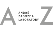 Andre Zagozda