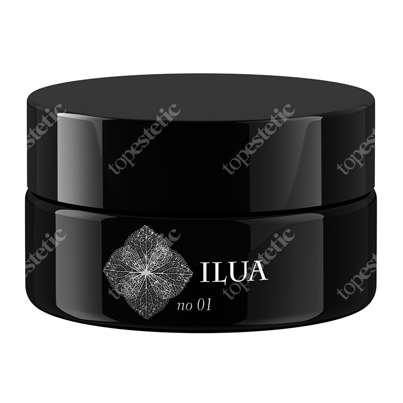 Ilua Piękność Dnia 01 Krem na dzień 50 g