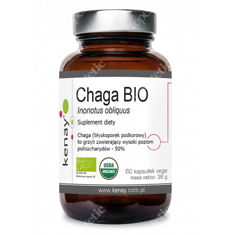Kenay Chaga Bio Inonotus Obliquus Suplement diety 60 kapsułek