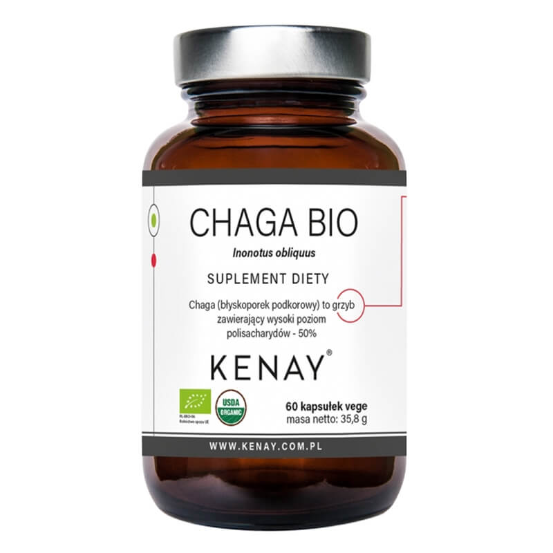 Kenay Chaga Bio Inonotus Obliquus Suplement diety 60 kapsułek
