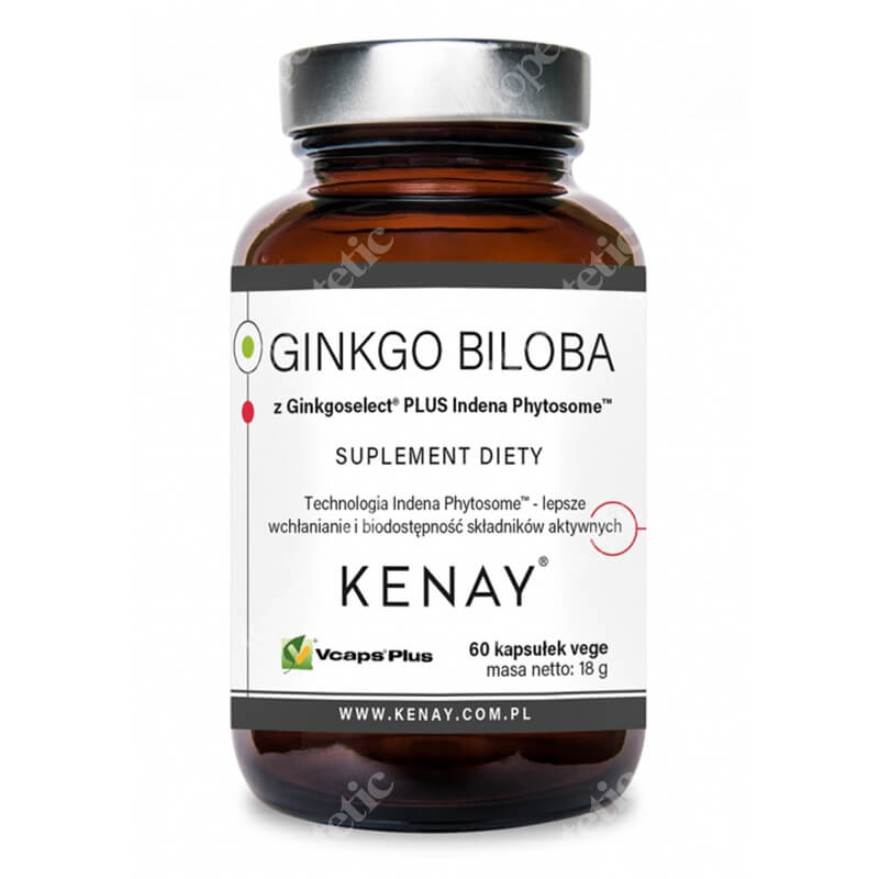 Kenay Ginkgo Biloba z Ginkgoselect Plus Indena Phytosome TM Suplement diety 60 kapsułek