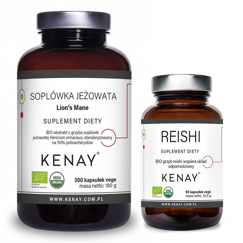 Kenay Wsparcie Funkcjonowania Mózgu i Układu Nerwowego ZESTAW Reishi BIO 90 kaps + Soplówka jeżowata 300 kaps
