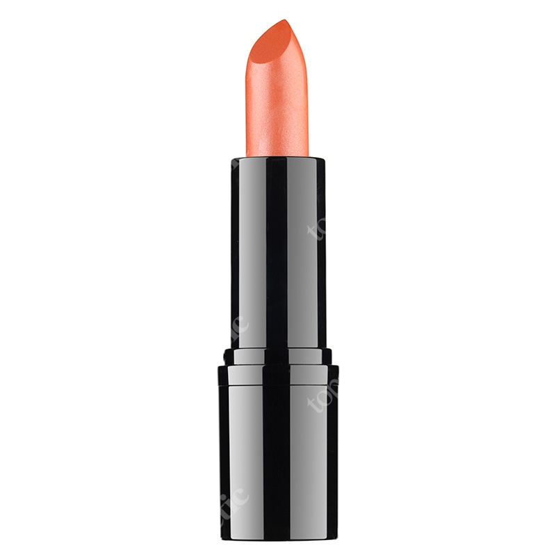 RVB LAB Make Up Professional Lipstick Profesjonalna pomadka (nr 14) 3,5 ml