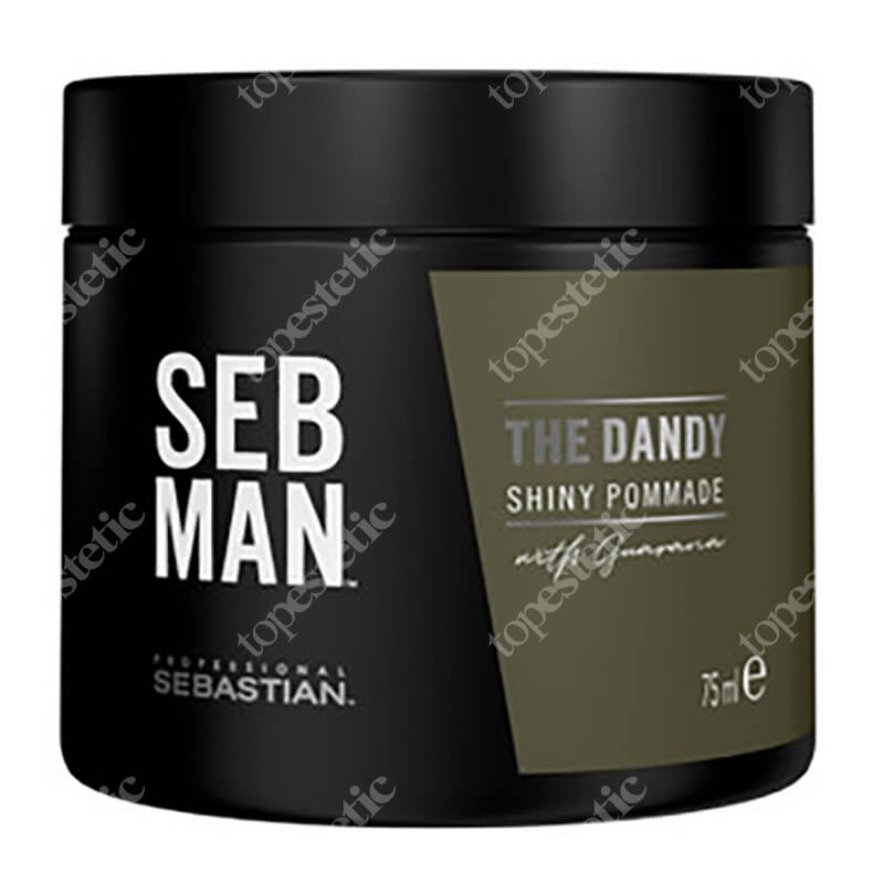 Sebastian Professional The Dandy Pomada lekko utrwalająca 75 ml