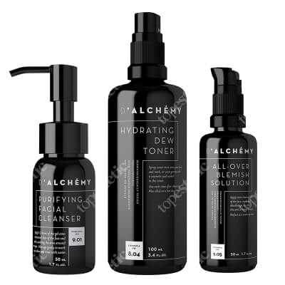 Dalchemy Cleanser Set ZESTAW Krem regulujący do cery tłustej i mieszanej 50 ml + Nawilżający tonik do twarzy 100 ml + Oczyszczający żel do mycia twarzy 50 ml