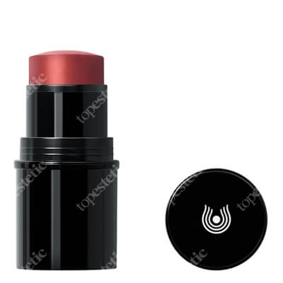 Dr Hauschka Lip to Cheek Balsam do ust oraz policzków (kolor 02 Red) 6,1 g