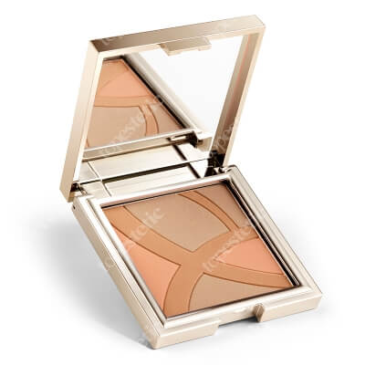 Dr Irena Eris Face Bronzer Puder brązujący do konturowania twarzy (kolor Warm Shade 01) 7 g