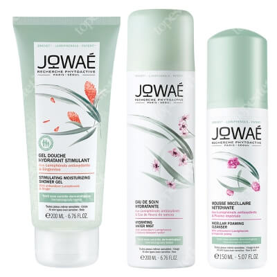 Jowae Stay Fresh And Clean ZESTAW Pianka micelarna 150 ml + Żel pod prysznic z imbirem 200 ml + Mgiełka 200 ml