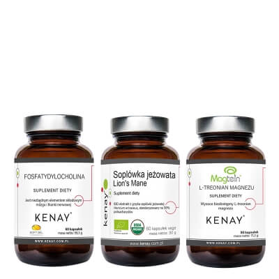 Kenay Wsparcie Mózgu, Układu Nerwowego i Funkcji Poznawczych ZESTAW Fosfatydylocholina 60 kaps + Soplówka jeżowata 60 kaps + L-treonian magnezu 90 kaps