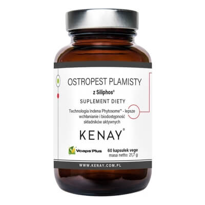 Kenay Ostropest Plamisty z Siliphos Suplement diety 60 kapsułek
