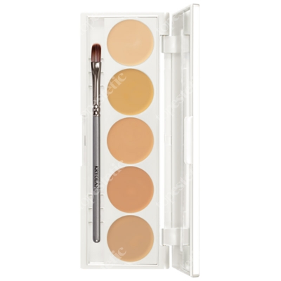 Kryolan Dermacolor Camouflage Creme Paleta 5 kol. kamuflaży (kolor DQ1) 15 g