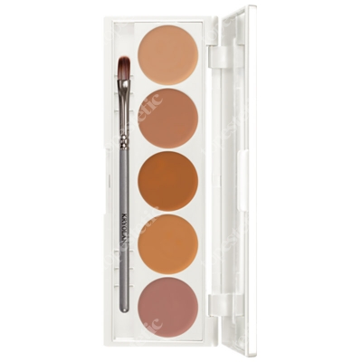 Kryolan Dermacolor Camouflage Creme Paleta 5 kol. kamuflaży (kolor DQ2) 15 g
