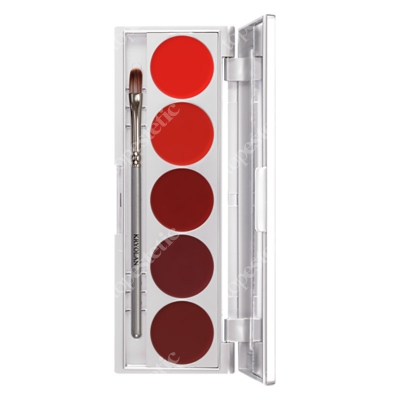 Kryolan Lip Rouge Set 5 Colors Paletka 5 kol. szminek do ust (D) 10 g