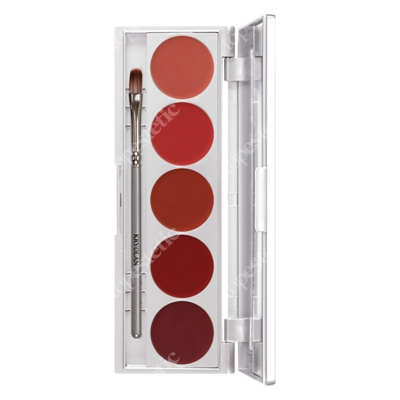 Kryolan Lip Rouge Set 5 Colors Paletka 5 kol. szminek do ust (Echo) 10 g