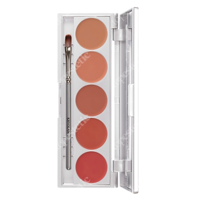 Kryolan Lip Rouge Set 5 Colors Paletka 5 kol. szminek do ust (Nude) 10 g