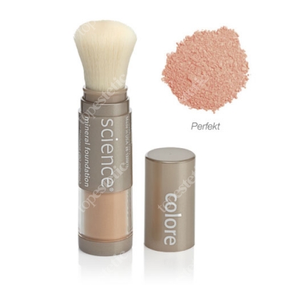 Colorescience Loose Mineral Foundation Brush Minerały w pędzlu - kolor Perfekt (jasny chłodny) 6 g