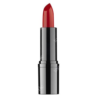 RVB LAB Make Up Professional Lipstick Profesjonalna pomadka (nr 11) 3,5 ml