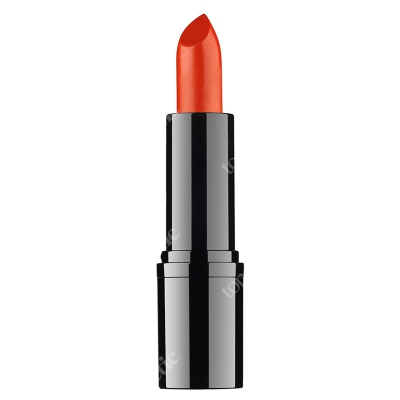 RVB LAB Make Up Professional Lipstick Profesjonalna pomadka (nr 13) 3,5 ml