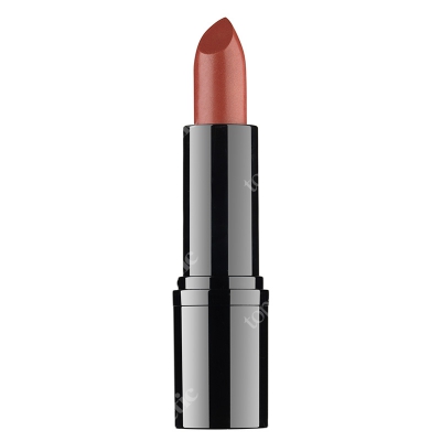 RVB LAB Make Up Professional Lipstick Profesjonalna pomadka (nr 19) 3,5 ml