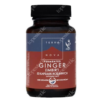 Terranova Fermented Ginger Suplement diety 50 kaps.