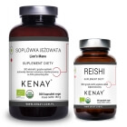 Kenay Wsparcie Funkcjonowania Mózgu i Układu Nerwowego ZESTAW Reishi BIO 90 kaps + Soplówka jeżowata 300 kaps