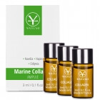 Yasumi Marine Collagen Set ZESTAW Ampułka z kolagenem 3 szt x 3 ml